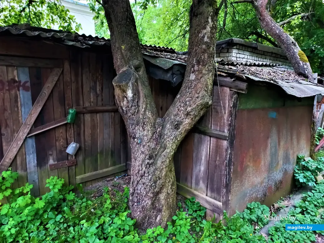 Луганский переулок так еще и не поведал нам все свои тайны. Могилев, 30.05.2023 г.