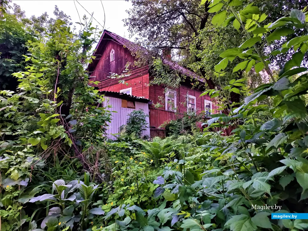 Луганский переулок так еще и не поведал нам все свои тайны. Могилев, 30.05.2023 г.