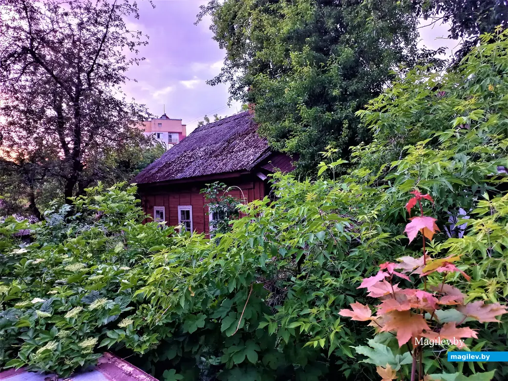 Луганский переулок так еще и не поведал нам все свои тайны. Могилев, 30.05.2023 г.
