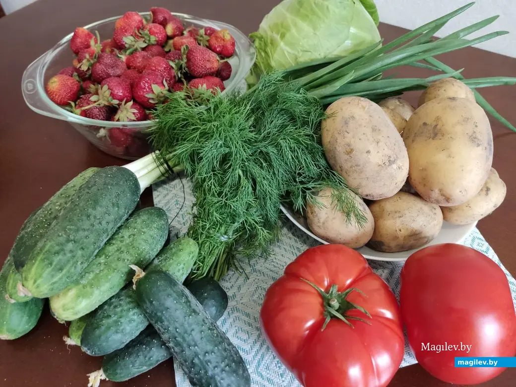 Мои покупки на 20 руб. Центральный (Минский) рынок. Могилев, 2.06.2023 г