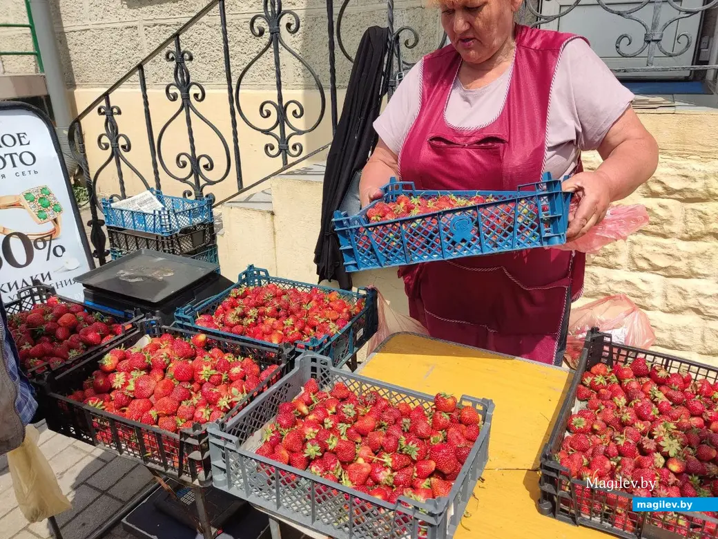 Что почем? Центральный (Минский) рынок. Могилев, 2.06.2023 г.