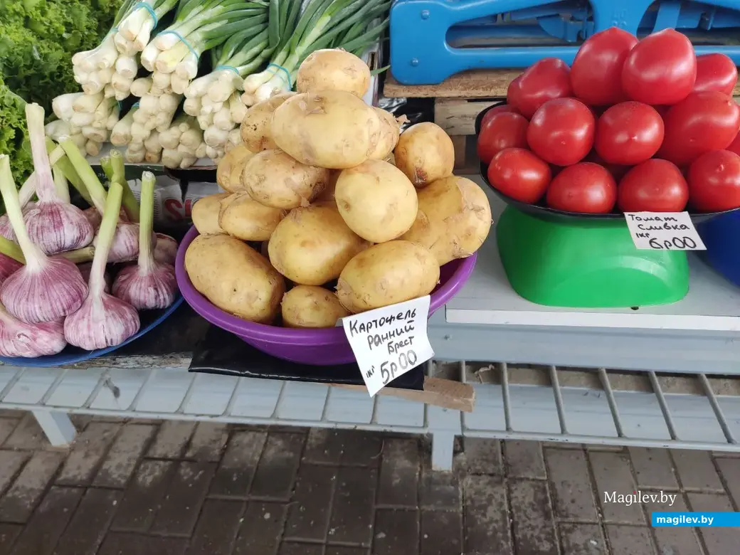 Что почем? Центральный (Минский) рынок. Могилев, 2.06.2023 г.