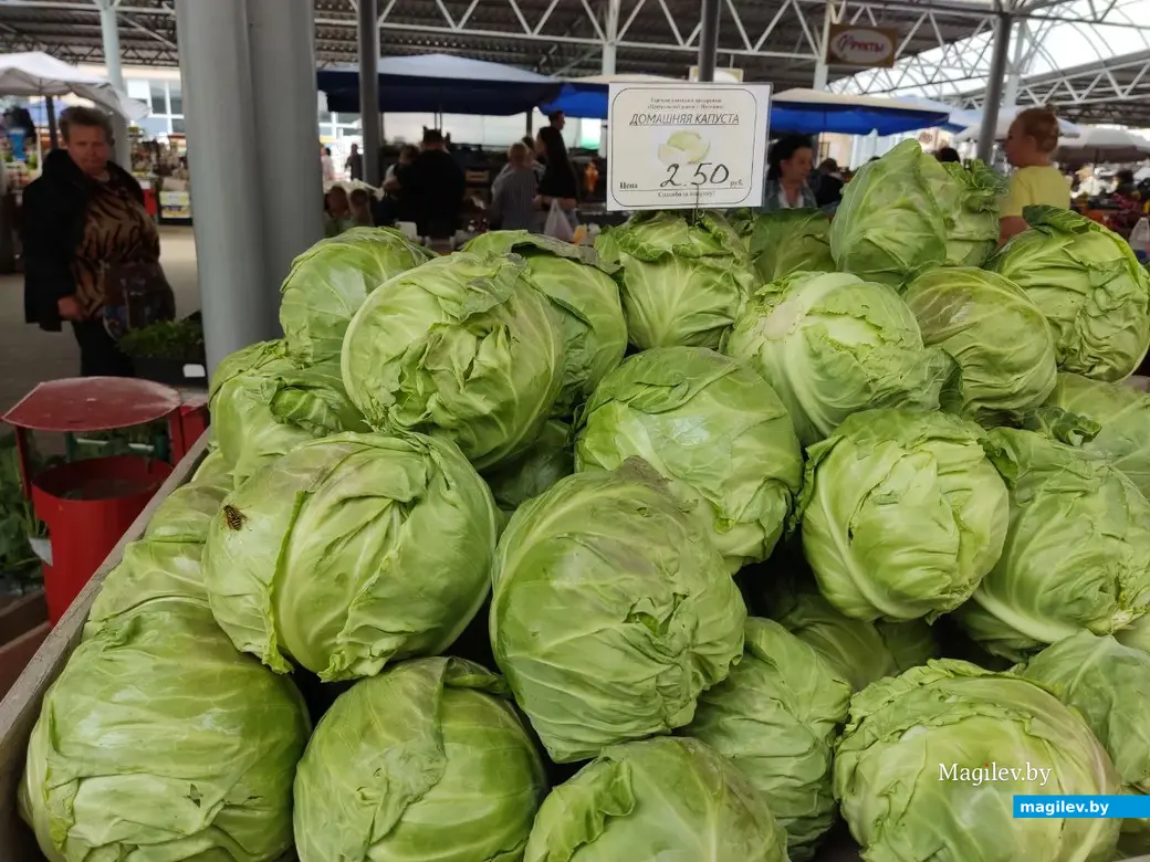 Что почем? Центральный (Минский) рынок. Могилев, 2.06.2023 г.