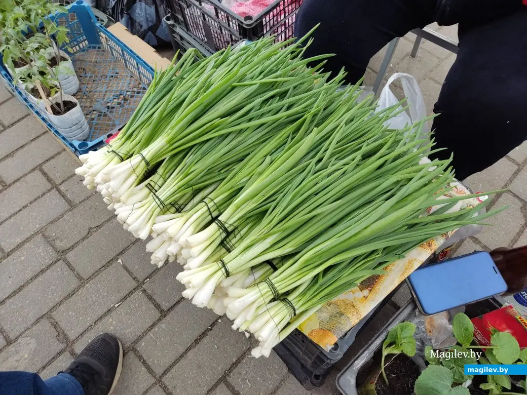 Что почем? Центральный (Минский) рынок. Могилев, 2.06.2023 г.