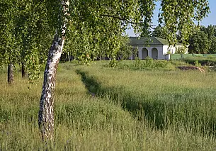 Прохладно и без дождей: прогноз погоды с 5 по 11 июня