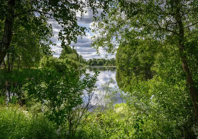 В Беларуси за сутки утонули два человека