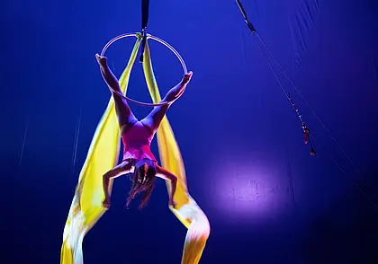 «Не шокируйте пони!» Как мы сходили в цирк-шапито Sirius в Могилеве