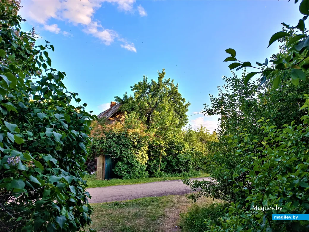 «Заднепровье-4». Могилев, 05.06.2023 г.