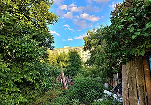 Могилев исчезающий:  дорогие сердцу  уголки любимого города