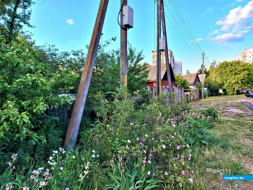 «Заднепровье-4». Могилев, 05.06.2023 г.