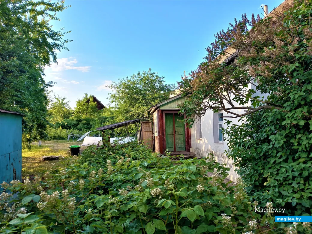 «Заднепровье-4». Могилев, 05.06.2023 г.