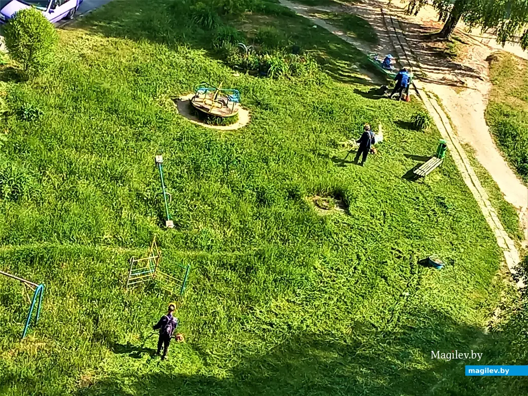 Газонокосильщики появились буквально на следующий день. Могилев, Казимировка, июнь, 2023 г.