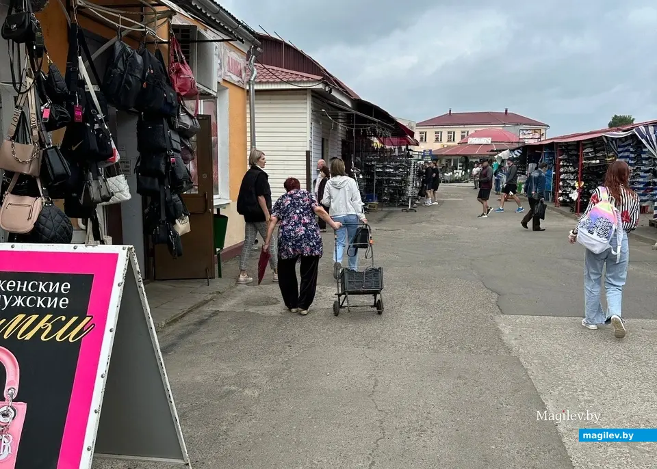 Прихватить тележку, отправляясь за покупками – лучшее решение. Бобруйск, рынок «Центральный», 10.06.2023 г.