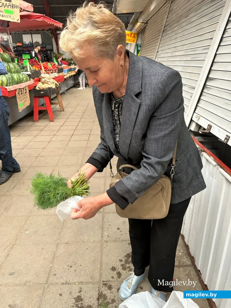 80 копеек – отличная цена за такой пышный пучок укропа. Бобруйск, рынок «Центральный», 10.06.2023 г.