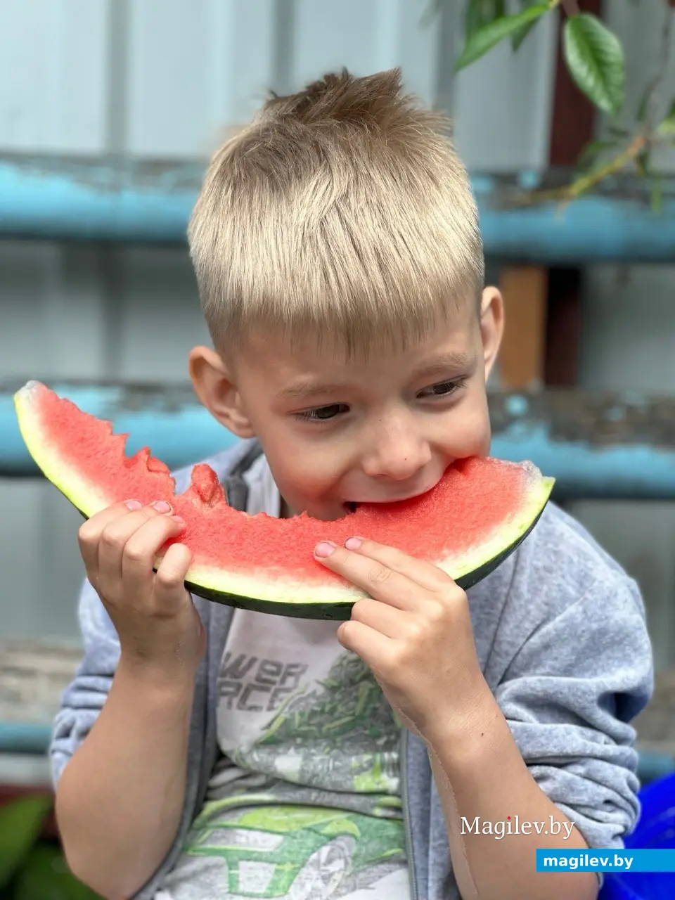 Арбуз оценили все члены семьи.