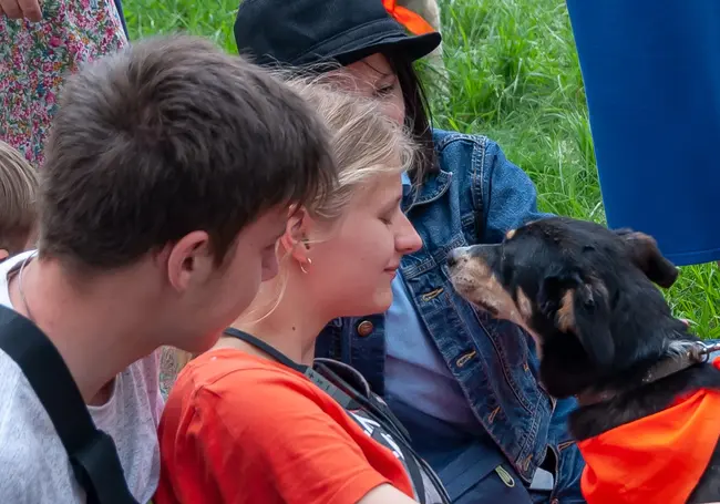 «У нас проще выбросить или утопить, чем один раз оплатить стерилизацию»