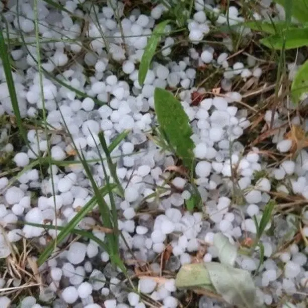 Погода на выходных в Беларуси чудила.
