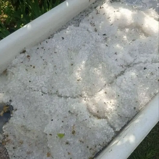 Погода на выходных в Беларуси чудила.