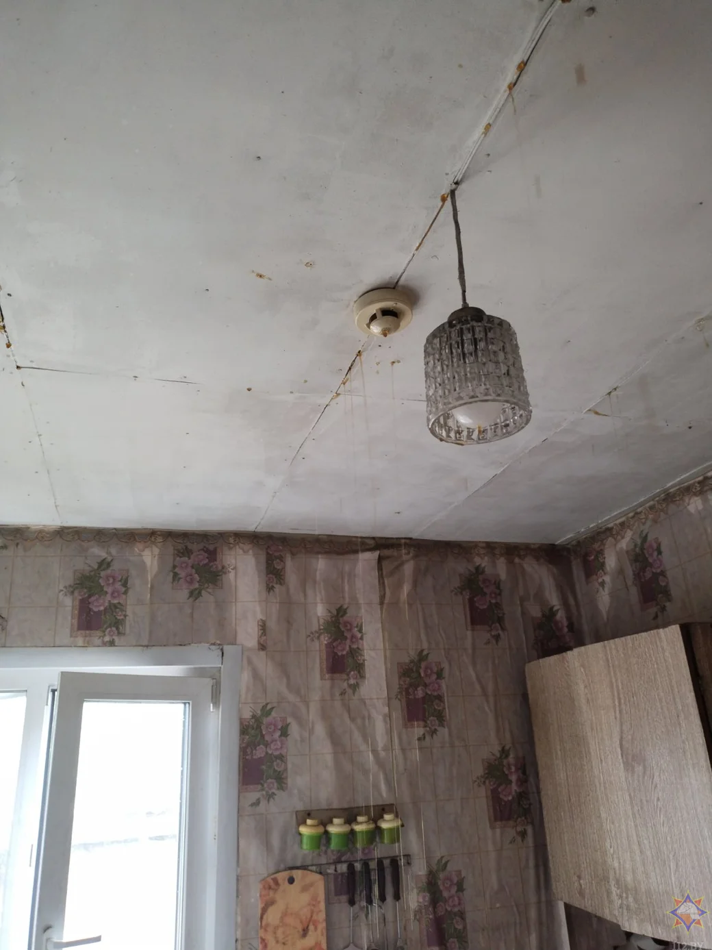 Костюковичи, 11 июня 2023 года. Фото: Могилевское областное управление МЧС Беларуси.