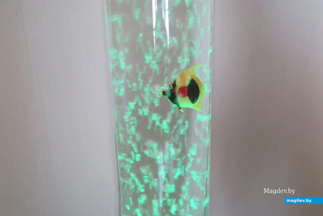 Июнь 2023 г. Могилев, детский центр развития «Речи-клаб».