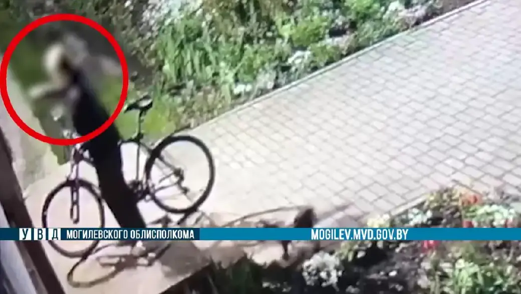 Похищенное имущество вернули владельцам. Фото: скриншот видео ТГ-канала «Милиция Могилевщины».