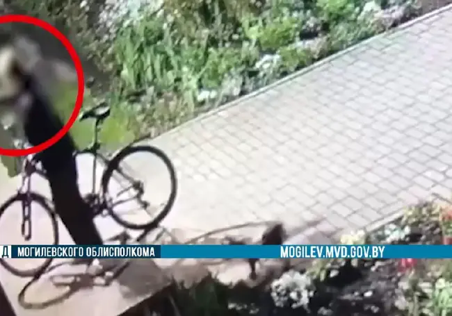 Две юные могилевчанки пойманы на краже велосипедов