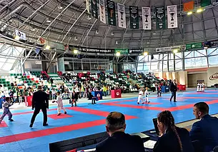 В могилевском «Олимпийце» юные каратисты показали себя во всей красе