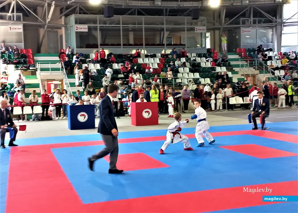 Республиканский турнир «Mogilev Open». Могилев, СК «олимпиец», 11.06.2023 г.