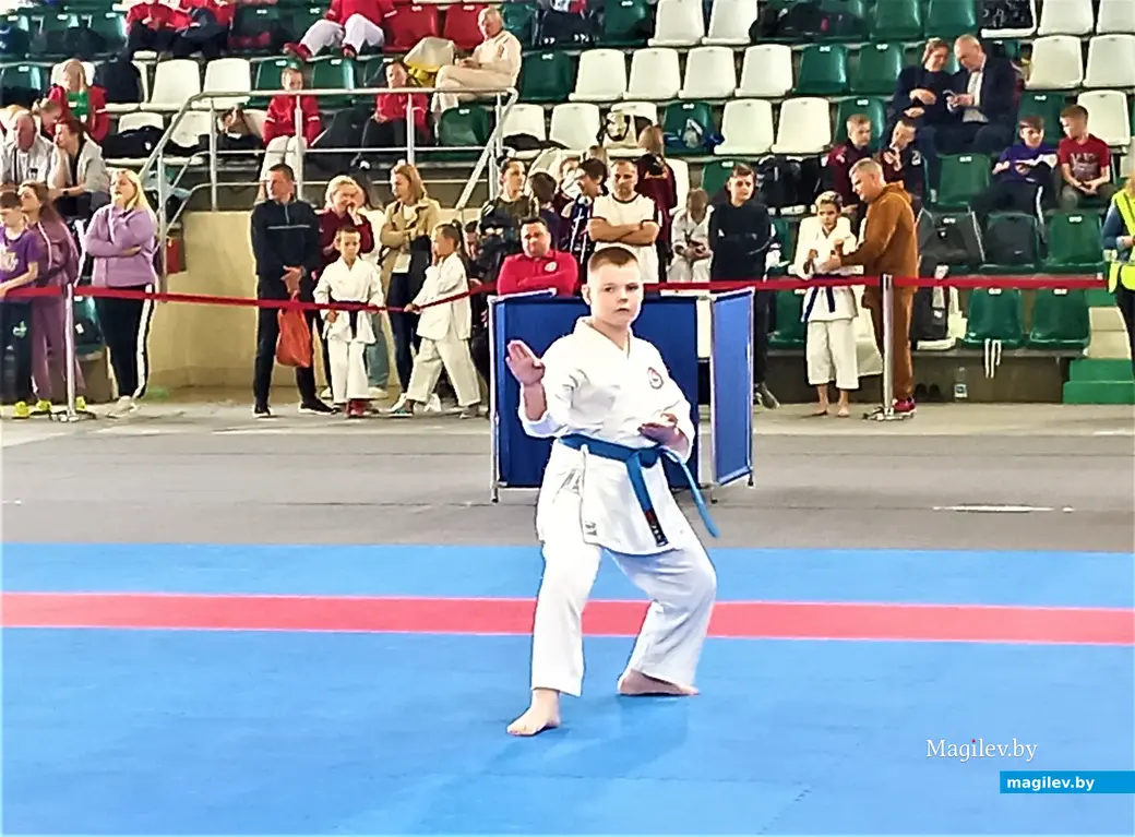 Республиканский турнир «Mogilev Open». Могилев, СК «олимпиец», 11.06.2023 г.