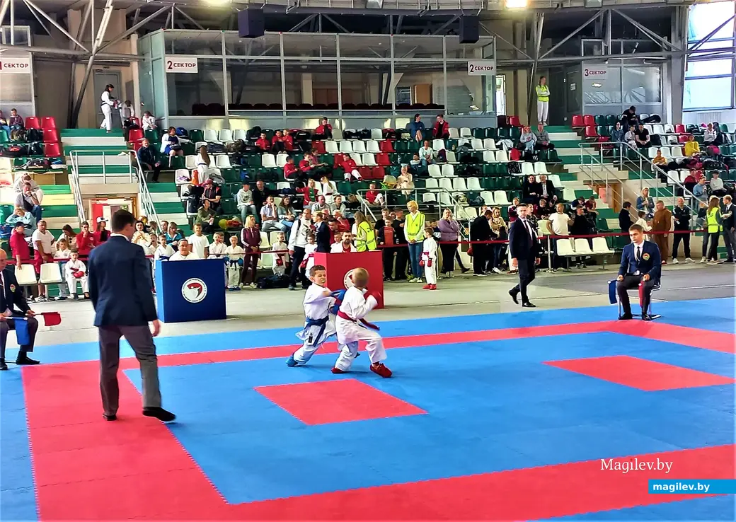 Республиканский турнир «Mogilev Open». Могилев, СК «олимпиец», 11.06.2023 г.