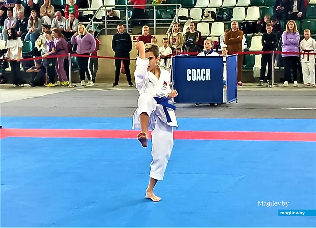 Республиканский турнир «Mogilev Open». Могилев, СК «олимпиец», 11.06.2023 г.