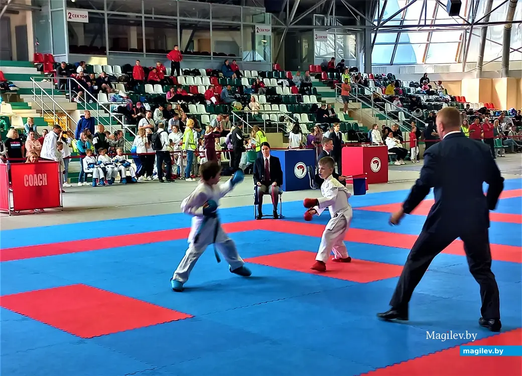 Республиканский турнир «Mogilev Open». Могилев, СК «олимпиец», 11.06.2023 г.