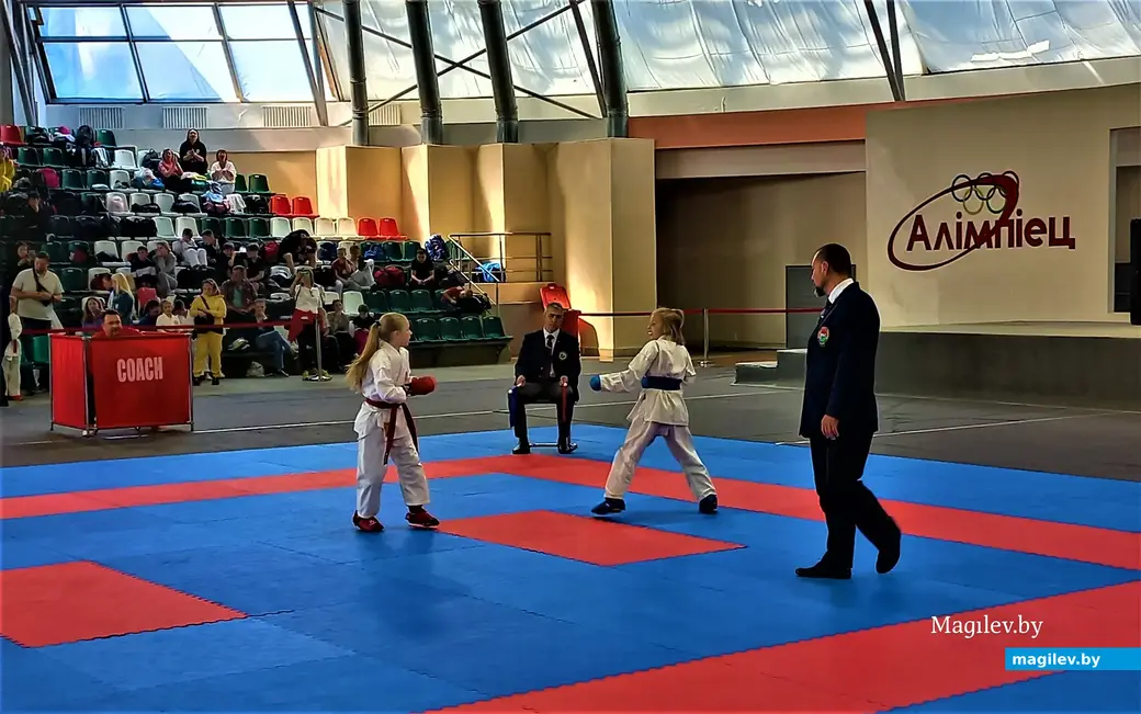 Республиканский турнир «Mogilev Open». Могилев, СК «олимпиец», 11.06.2023 г.