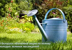 Акцию по спасению засыхающих без дождей деревьев и кустарников объявило Минприроды в Беларуси