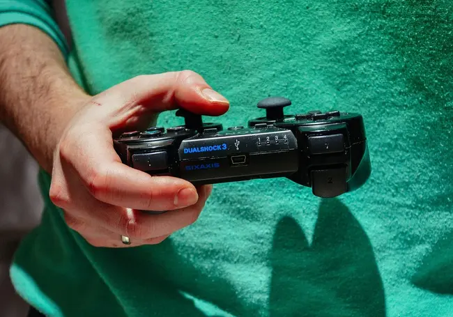 Взял в аренду и перепродал. Предприимчивому могилевчанину грозит уголовное наказание