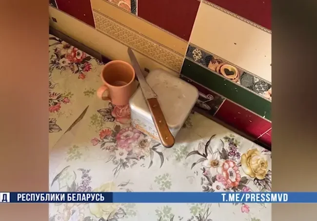 В Могилеве задержана подозреваемая в разбое. Угрожая ножом, требовала деньги у старушки