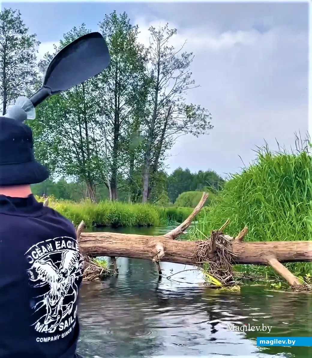 Путешествие трех друзей в течение трех дней, июнь 2023 года.