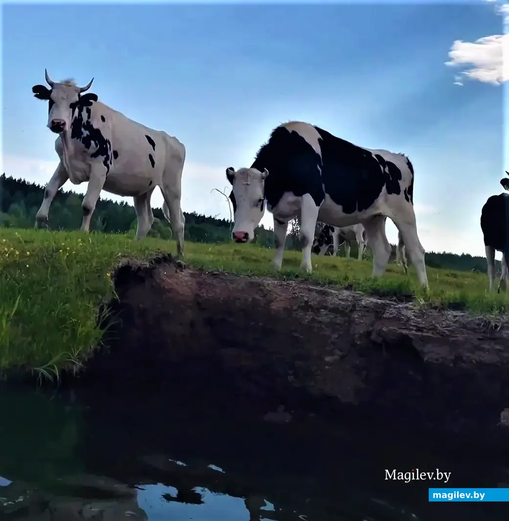 Путешествие трех друзей в течение трех дней, июнь 2023 года.