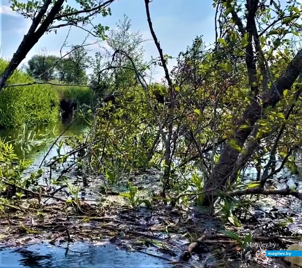 Путешествие трех друзей в течение трех дней, июнь 2023 года.