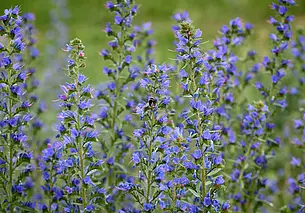 Велика вероятность дождей с грозами: прогноз погоды на неделю 10-16 июня