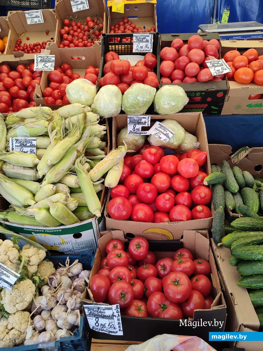 Что почем? Мини-рынок на улице Островского в Могилеве. 16.06.2023 г.