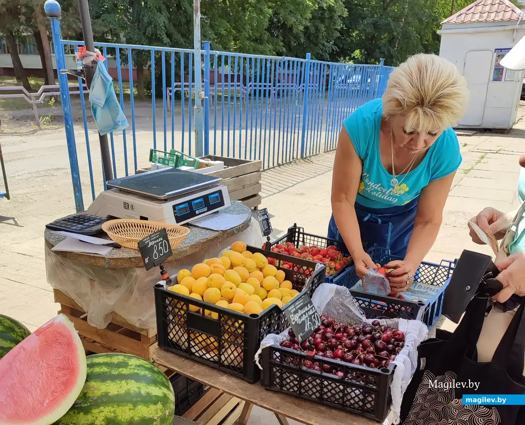 Что почем? Мини-рынок на улице Островского в Могилеве. 16.06.2023 г.