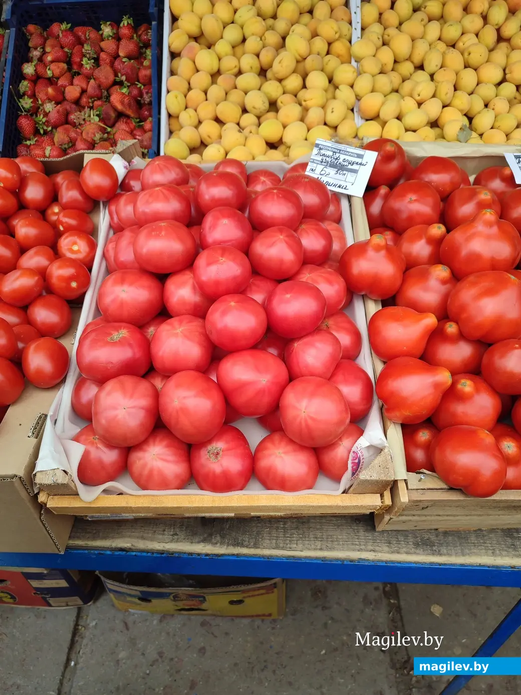 Что почем? Мини-рынок на улице Островского в Могилеве. 16.06.2023 г.