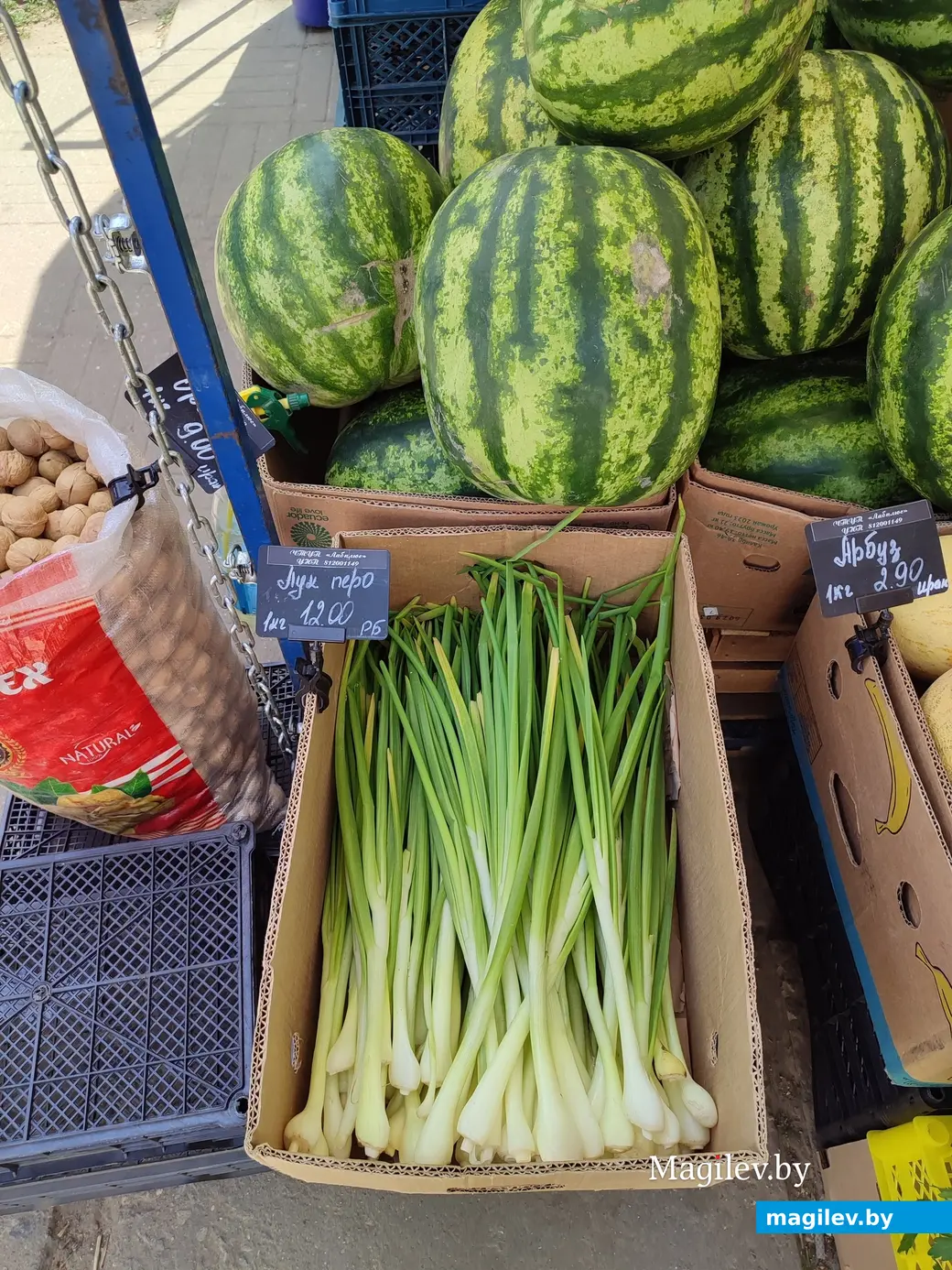 Что почем? Мини-рынок на улице Островского в Могилеве. 16.06.2023 г.