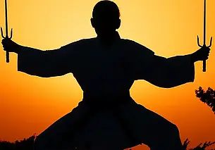 В Могилеве планируют провести фестиваль восточных единоборств