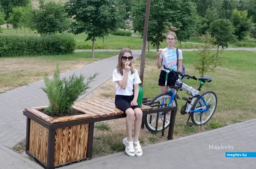 Парк культуры и отдыха Подниколье Могилева. Автор арт-объекта – Костюковичский Жилкомхоз.