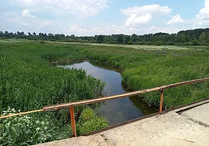 Мужчина, решивший искупаться в Горецком районе, утонул на глазах у жены