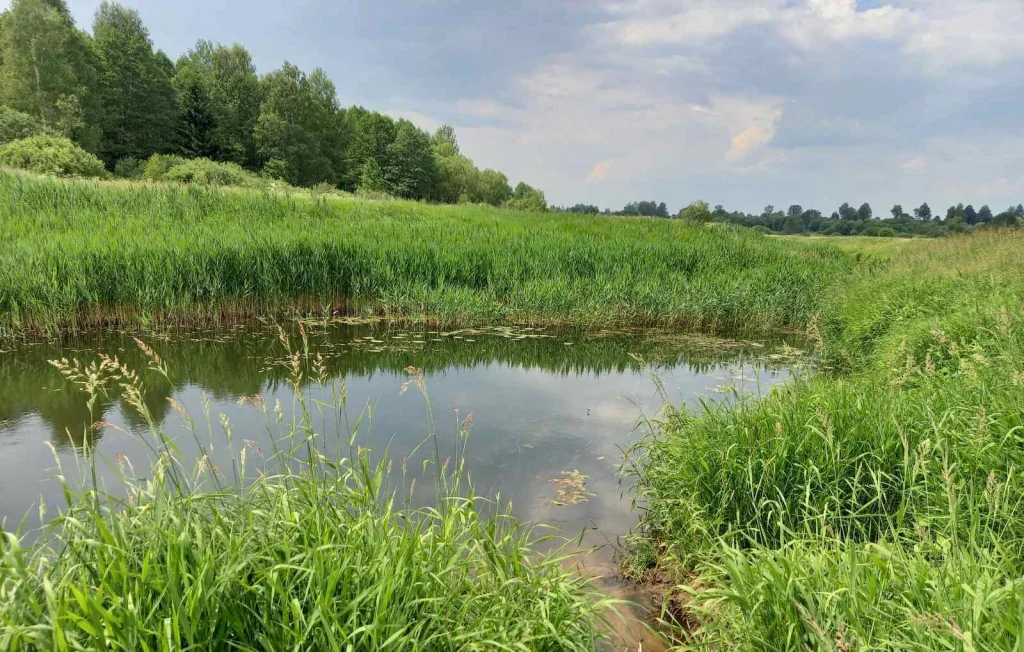 Река Ремествлянка. Фото: Могилевское областное управление МЧС Беларуси.