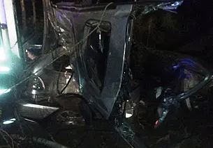 В Чаусском районе в ДТП из-за дикого животного BMW вылетел в кювет. Пострадало двое