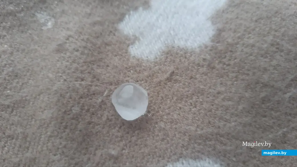 19 июня. Могилев. Как вам «перепелиное яичко»? Фото автора.